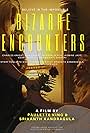 Bizzare Encounters (2017)