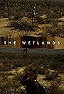 The Wetlands (2017)