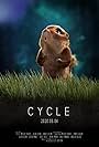 Cycle (2020)