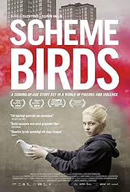 Scheme Birds (2019)