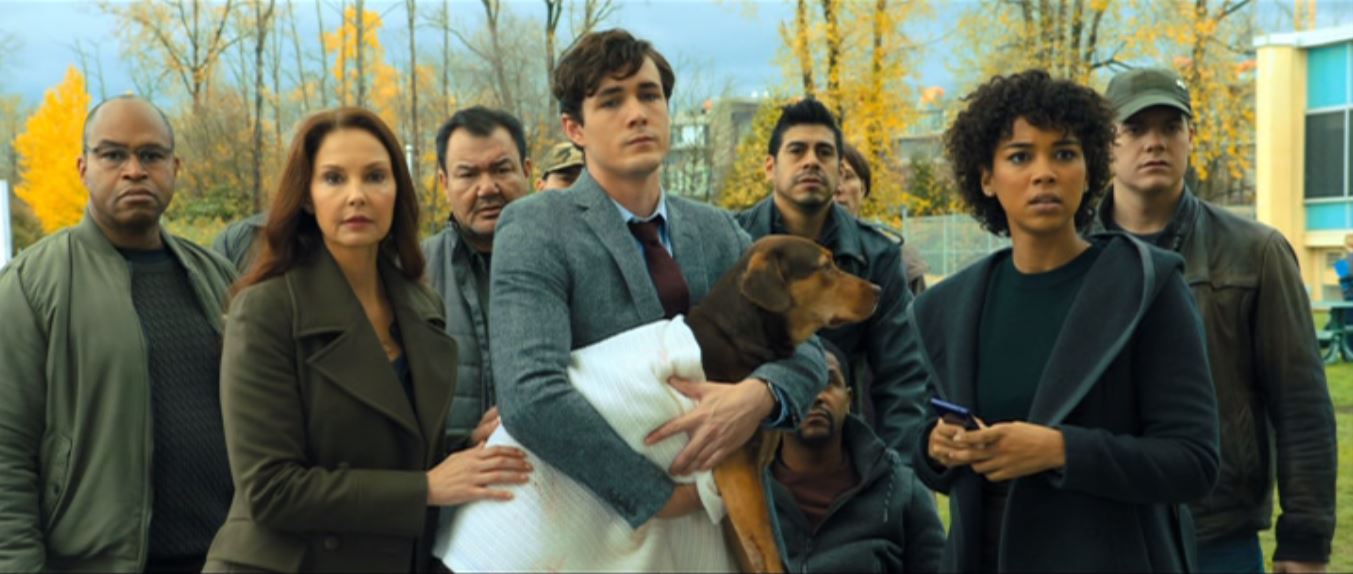 Ashley Judd, Barry Watson, Patrick Gallagher, Cesar De León, Rolando Boyce, Broadus Mattison, Alexandra Shipp, and Jonah Hauer-King in A Dog's Way Home (2019)