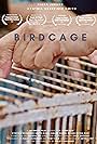 Birdcage (2021)