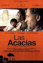 Las acacias