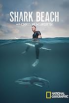 Shark Beach with Chris Hemsworth