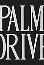 Palm Drive (2017)