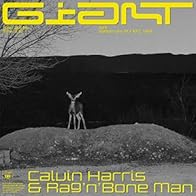 Primary photo for Calvin Harris & Rag'n'Bone Man: Giant (Lyric Video)