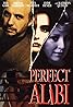 Perfect Alibi (1995) Poster