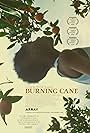 Burning Cane (2019)