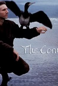 Primary photo for The Cormorant