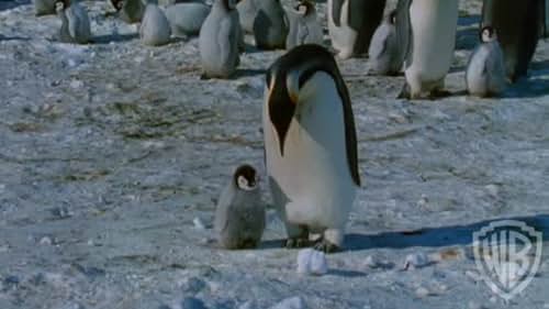 March Of The Penguins: Limited Edition Giftset (Father Reunited)