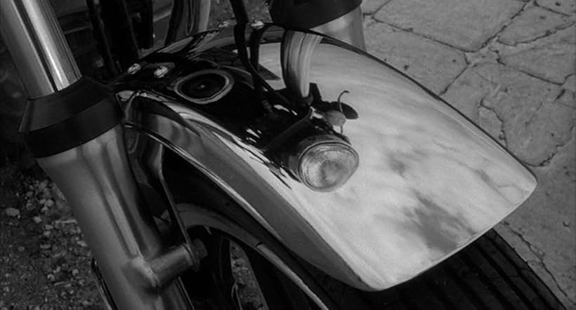 Rumble Fish (1983)