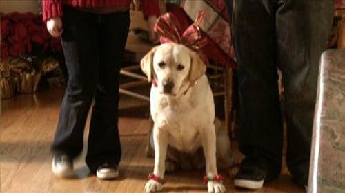 The Dog Who Saved Christmas