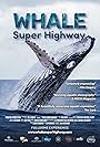 Whale Super Highway (2019)