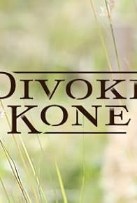 Primary photo for Divoké kone