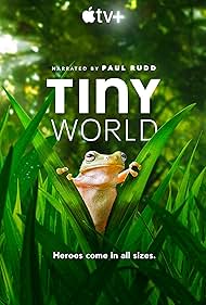 Tiny World (2020)