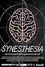 Synesthesia (2017)