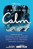 A World of Calm