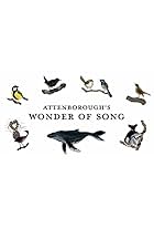 Attenborough's Wonder of Song