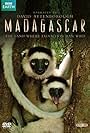 Madagascar