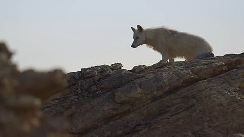 Discover amazing landscapes, the most amazing fights of animals on our planet, from the highest mountains to the deepest oceans, from the darkest caves to the hottest deserts with new technology.