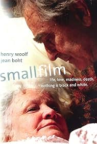 Smallfilm (2007)