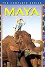 Maya (1967)