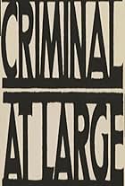 A Criminal at Large