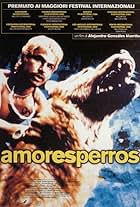 Amores perros