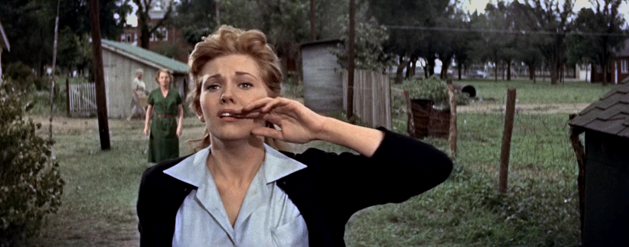 Kim Novak, Verna Felton, and Betty Field in Picnic (1955)