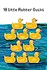 10 Little Rubber Ducks (2015) Poster