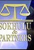 Sokhulu and Partners II (TV Series 2011– ) Poster