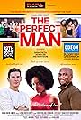 The Perfect Man (2015)