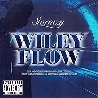 Primary photo for Stormzy: Wiley Flow