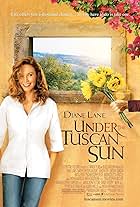 Diane Lane in Under the Tuscan Sun (2003)