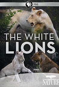 Primary photo for The White Lions