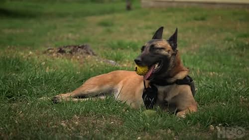 From Executive Producer Channing Tatum, this HBO documentary shines a light on the life of canines in combat.