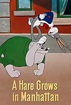 A Hare Grows in Manhattan (1947)