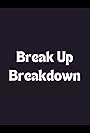 Break Up Breakdown (2010)