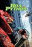 Boa vs. Python (Video 2004) Poster