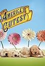 America's Cutest (2009)