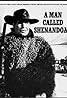 A Man Called Shenandoah (TV Series 1965–1966) Poster