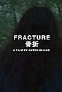 Fracture (2015)