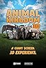 Animal Kingdom (2023) Poster