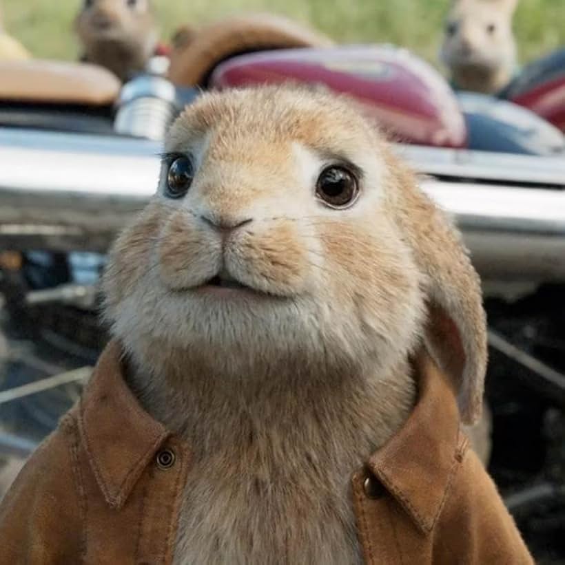 Colin Moody in Peter Rabbit 2: The Runaway (2021)