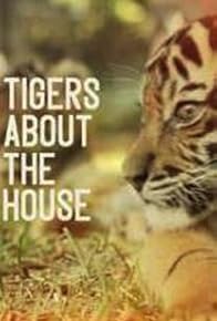 Primary photo for Tigers About the House