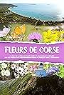 Fleurs de Corse (2019)