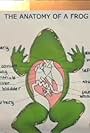 The Anatomy of a Frog (2007)