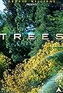 Trees - A Planetary Treasure (2021)