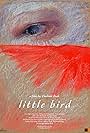 Little Bird (2014)