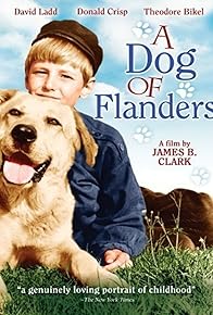 Primary photo for A Dog of Flanders